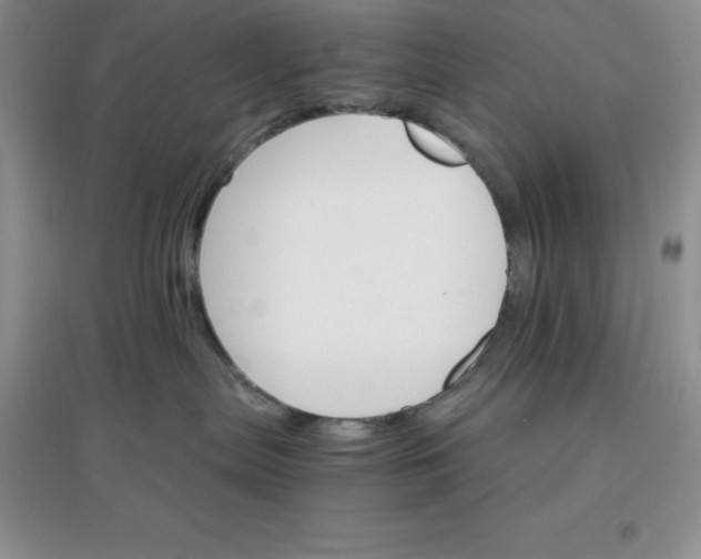 X0000097670287200803142201