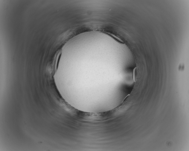 X0000097670288200803142201