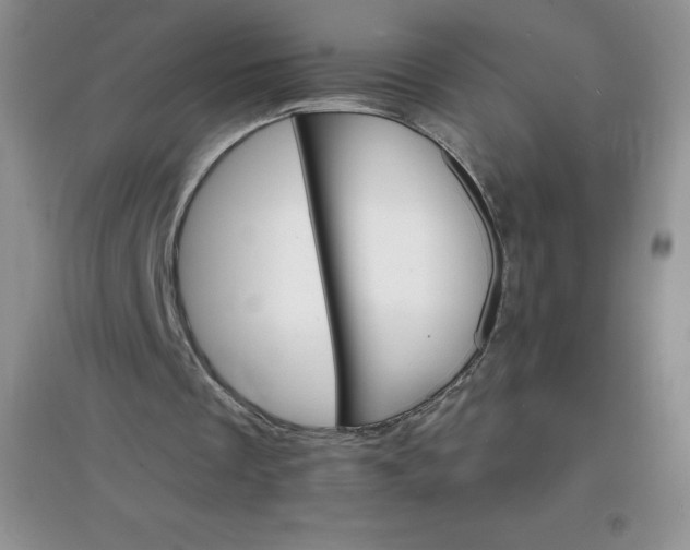 X0000097670289200803142200