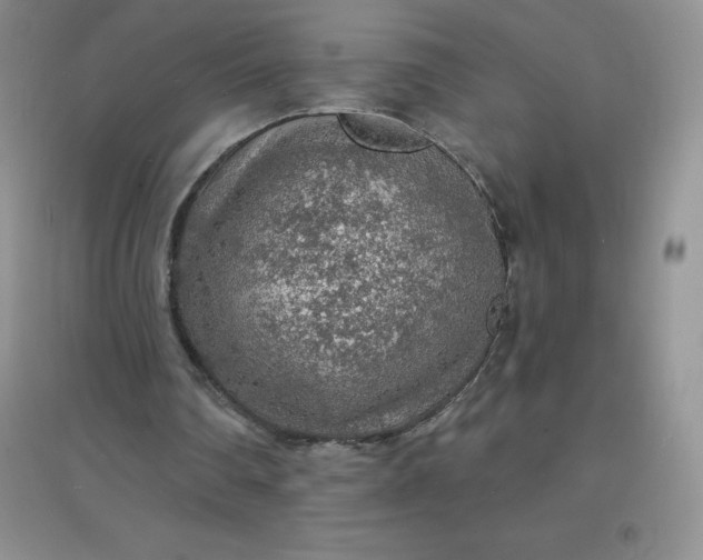 X0000097670290200803142200