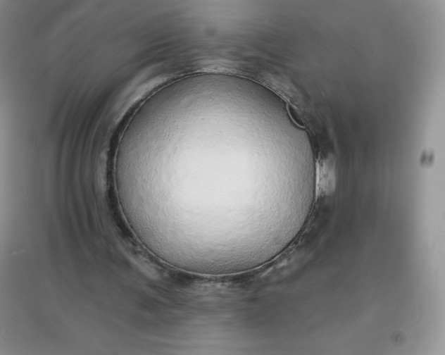 X0000097670291200803142200