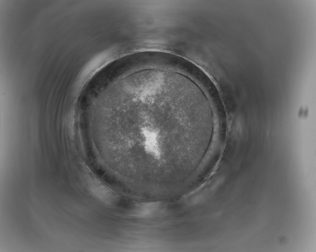 X0000097670293200803142200