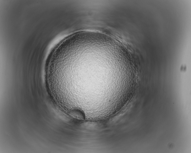 X0000097670294200803142200