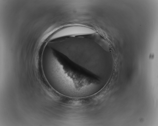 X0000097670295200803142200