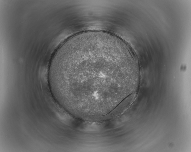 X0000097670297200803142200