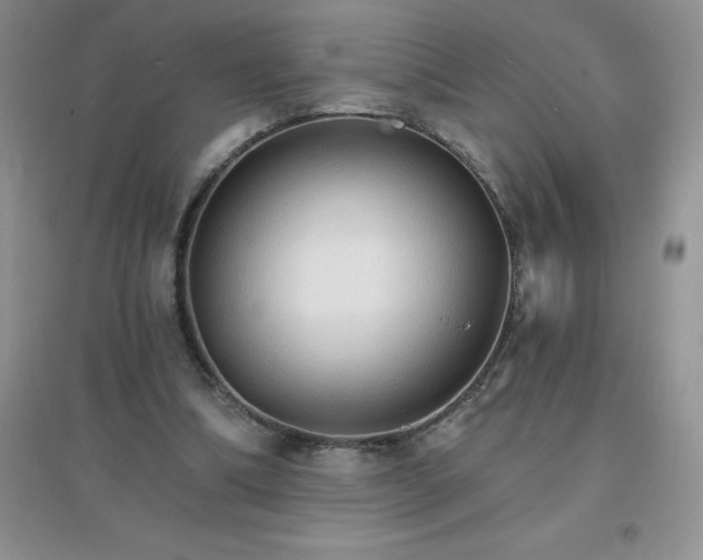 X0000097670298200803142200