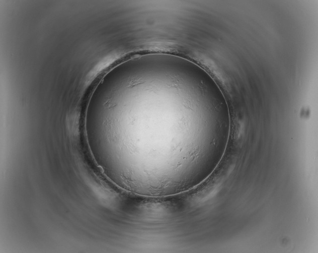 X0000097670299200803142200