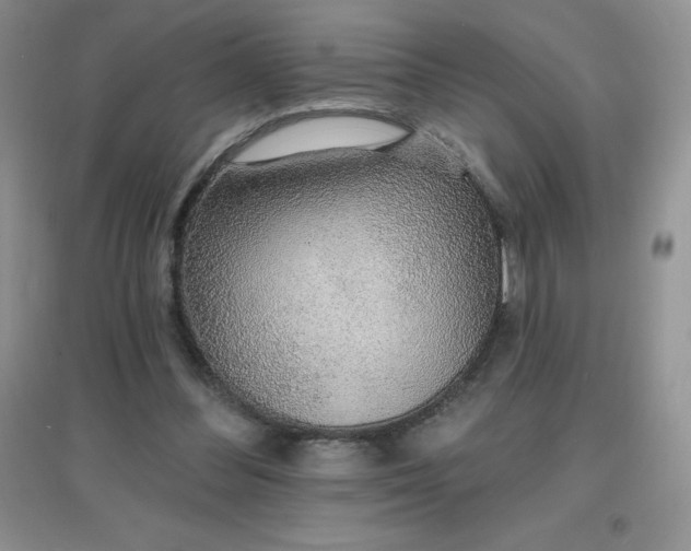 X0000097670300200803142200