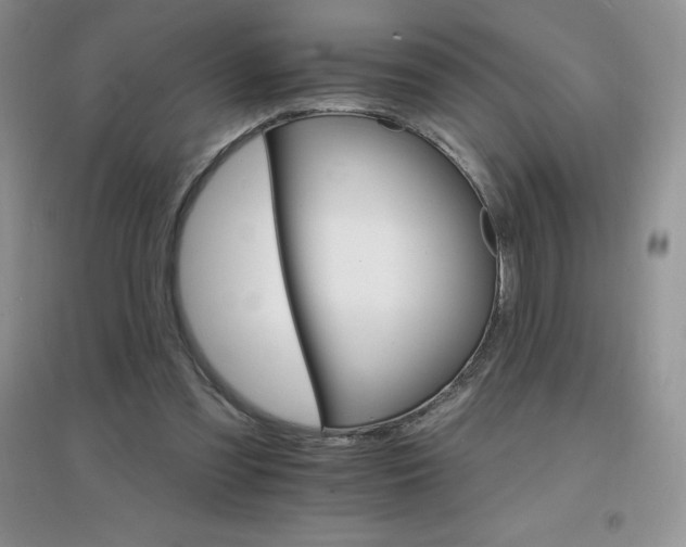 X0000097670301200803142200