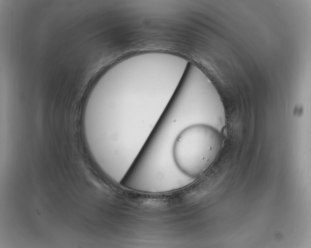 X0000097670303200803142200