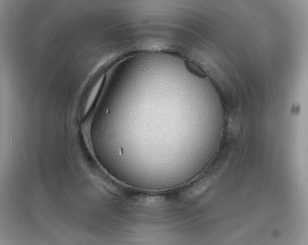 X0000097670304200803142200