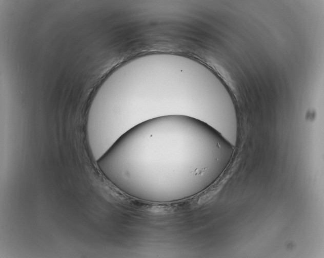 X0000097670305200803142200