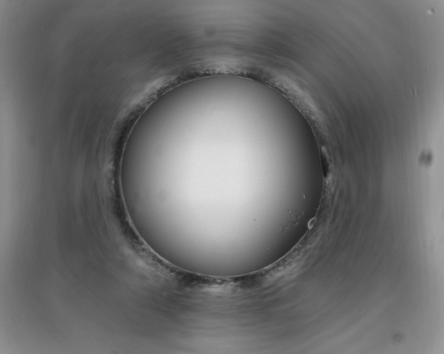 X0000097670306200803142200