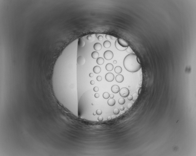 X0000097670307200803142200