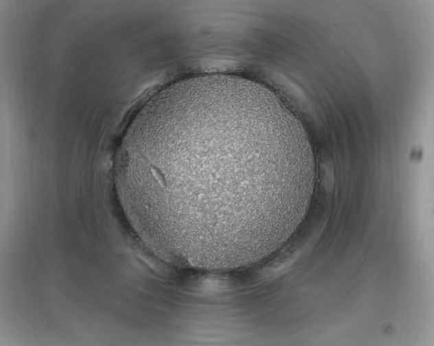 X0000097670308200803142200
