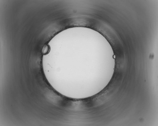 X0000097670309200803142200