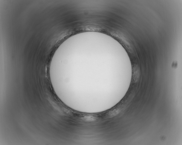 X0000097670310200803142200
