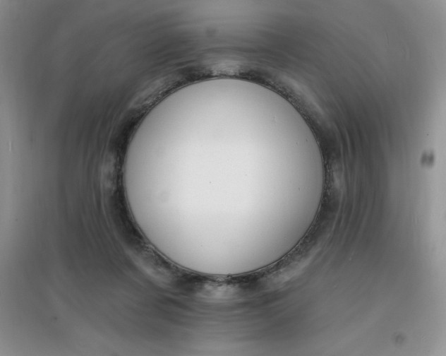X0000097670311200803142200
