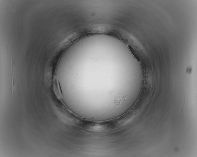 X0000097670312200803142200