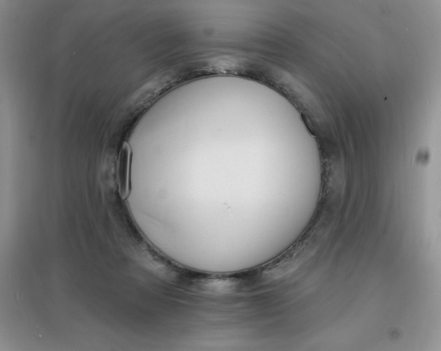 X0000097670313200803142200