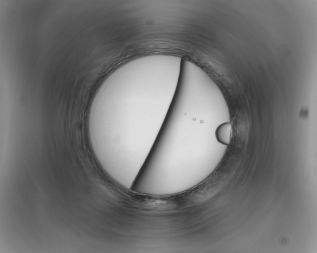X0000097670315200803142200