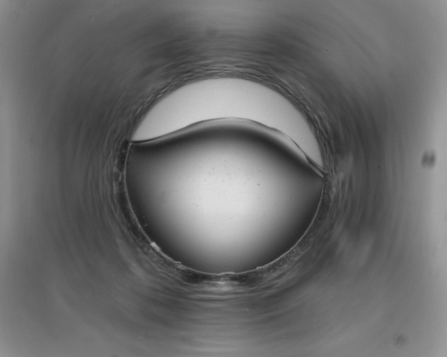 X0000097670316200803142200