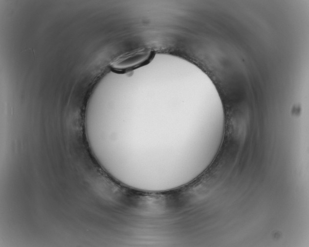 X0000097670317200803142200