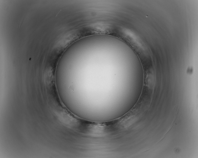 X0000097670318200803142200