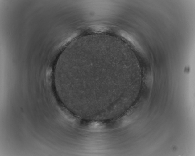X0000097670319200803142200