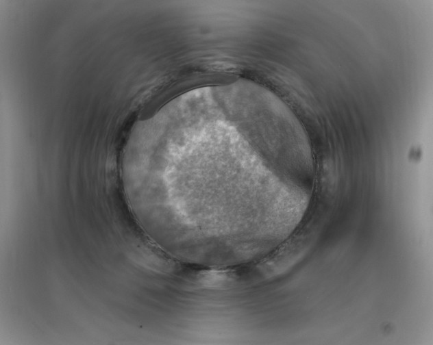X0000097670320200803142200