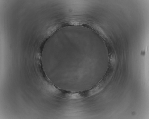 X0000097670322200803142200