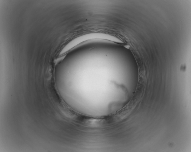 X0000097670323200803142200