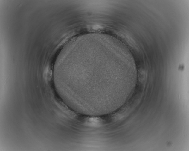 X0000097670324200803142200