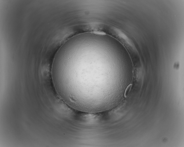 X0000097670326200803142200
