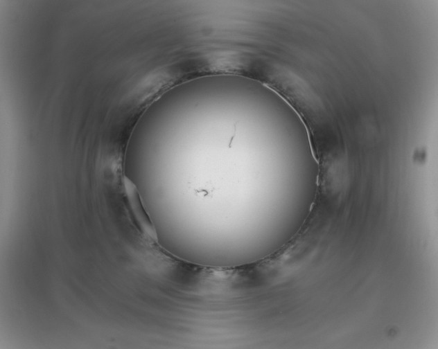 X0000097670329200803142200