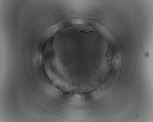 X0000097670330200803142200