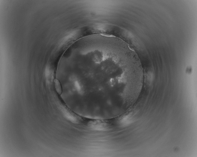 X0000097670331200803142200