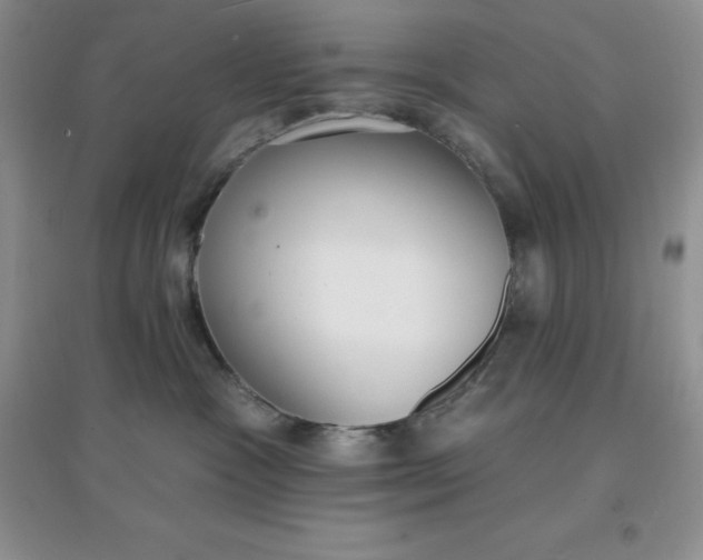 X0000097670333200803142200