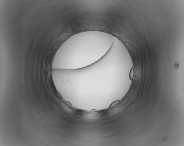 X0000097670334200803142200