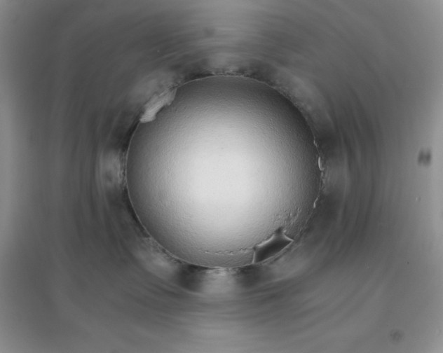 X0000097670335200803142200
