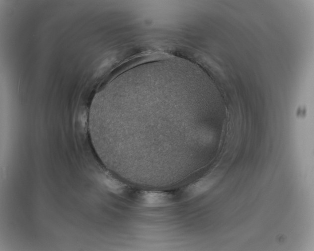 X0000097670336200803142200