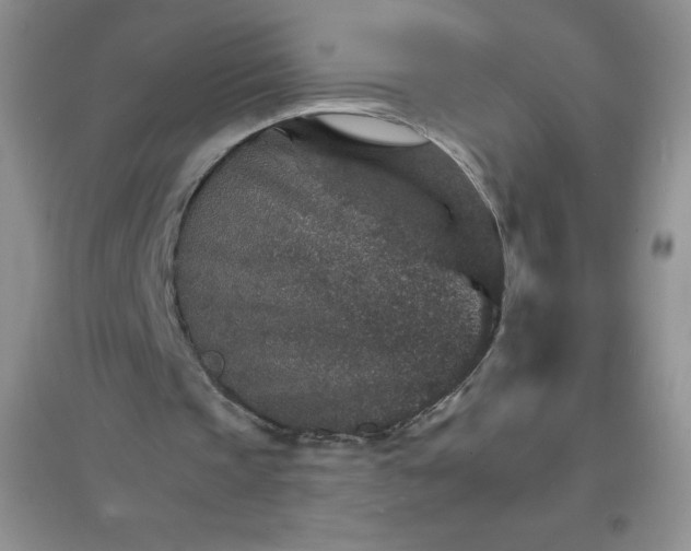 X0000097670337200803142159