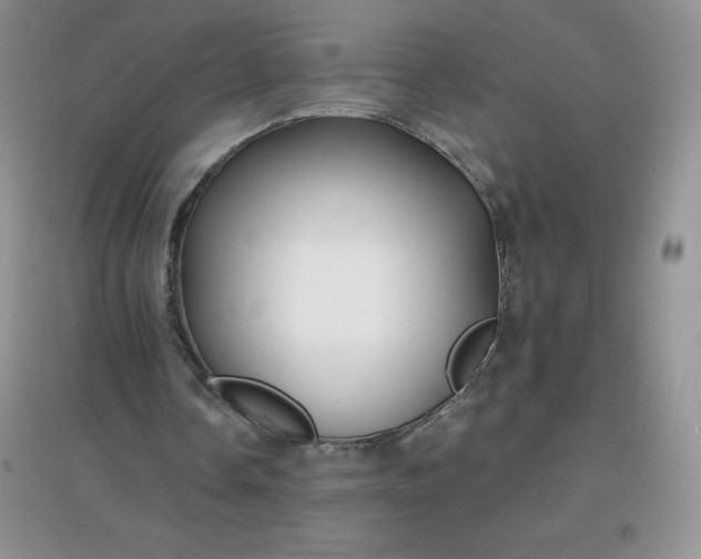 X0000097670338200803142159