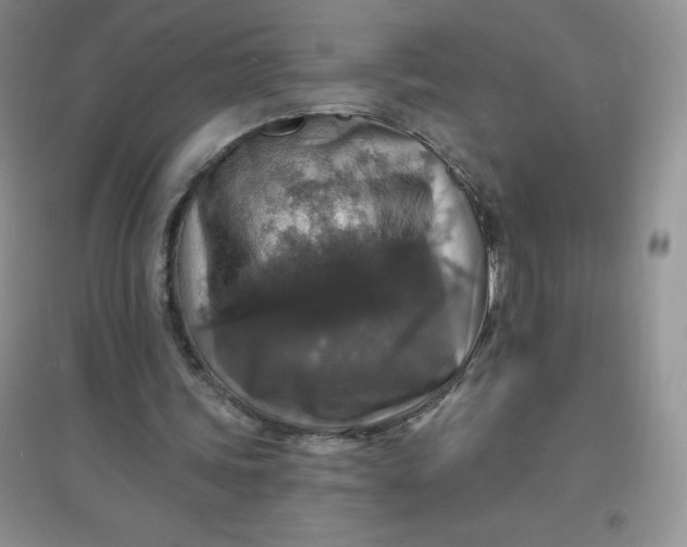 X0000097670339200803142159