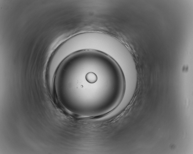X0000097670340200803142159