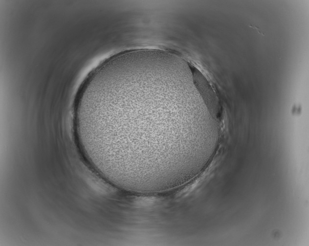 X0000097670342200803142159