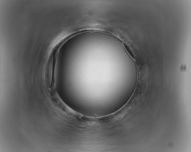 X0000097670344200803142159