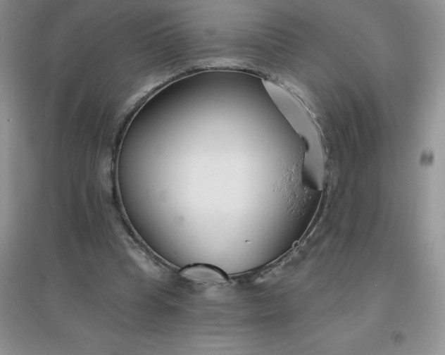 X0000097670345200803142159
