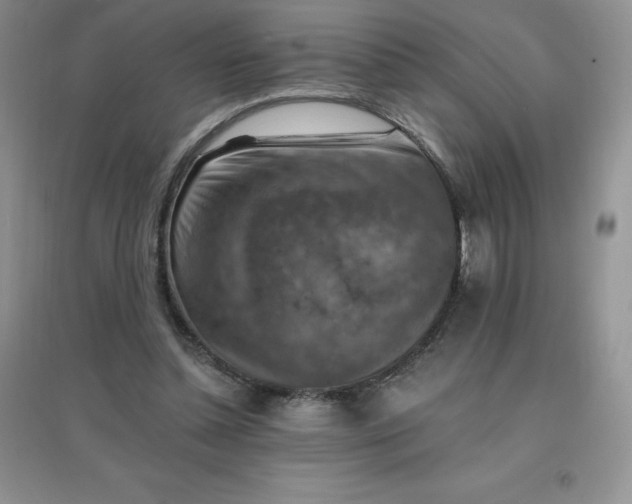 X0000097670348200803142159