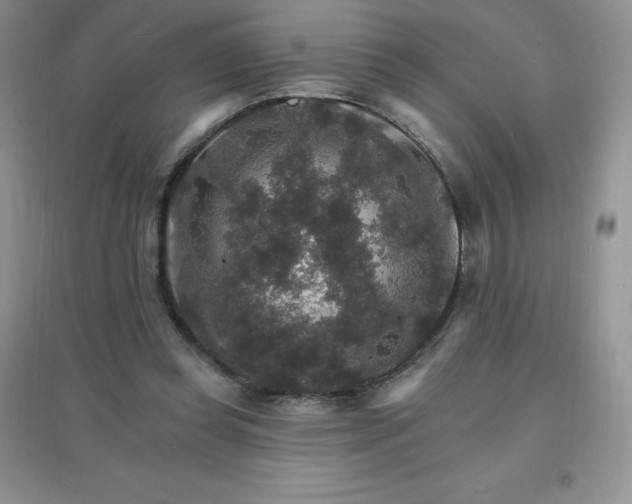 X0000097670349200803142159